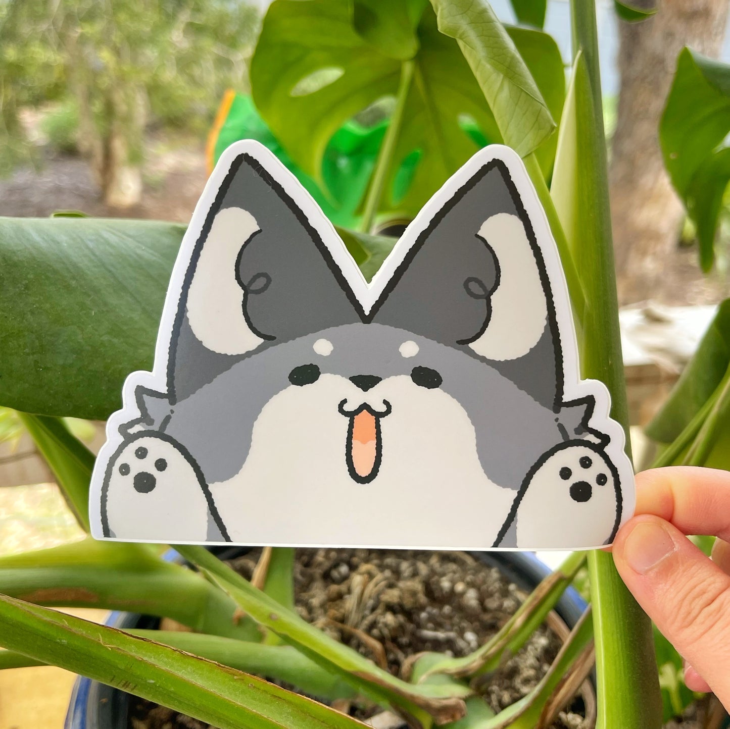Wild Dog Bumper Stickers