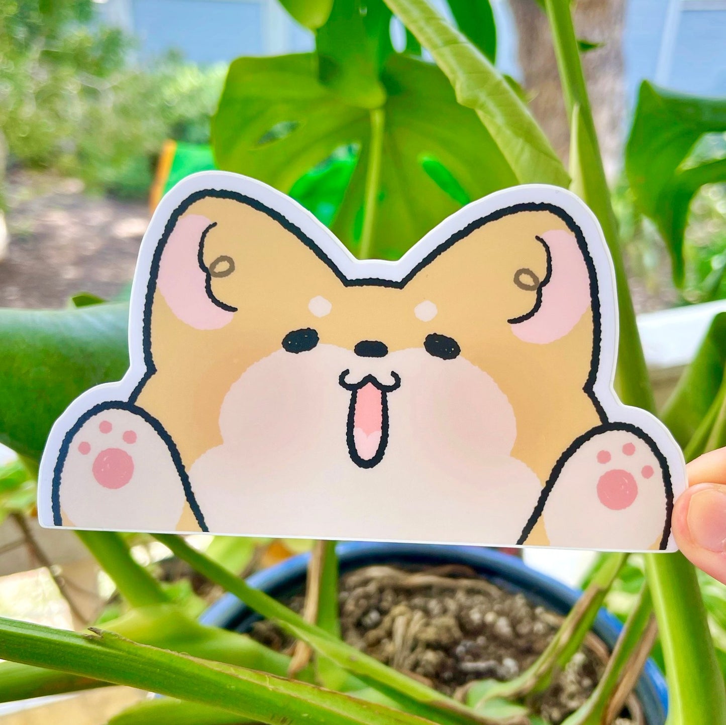 Shiba Bumper Sticker