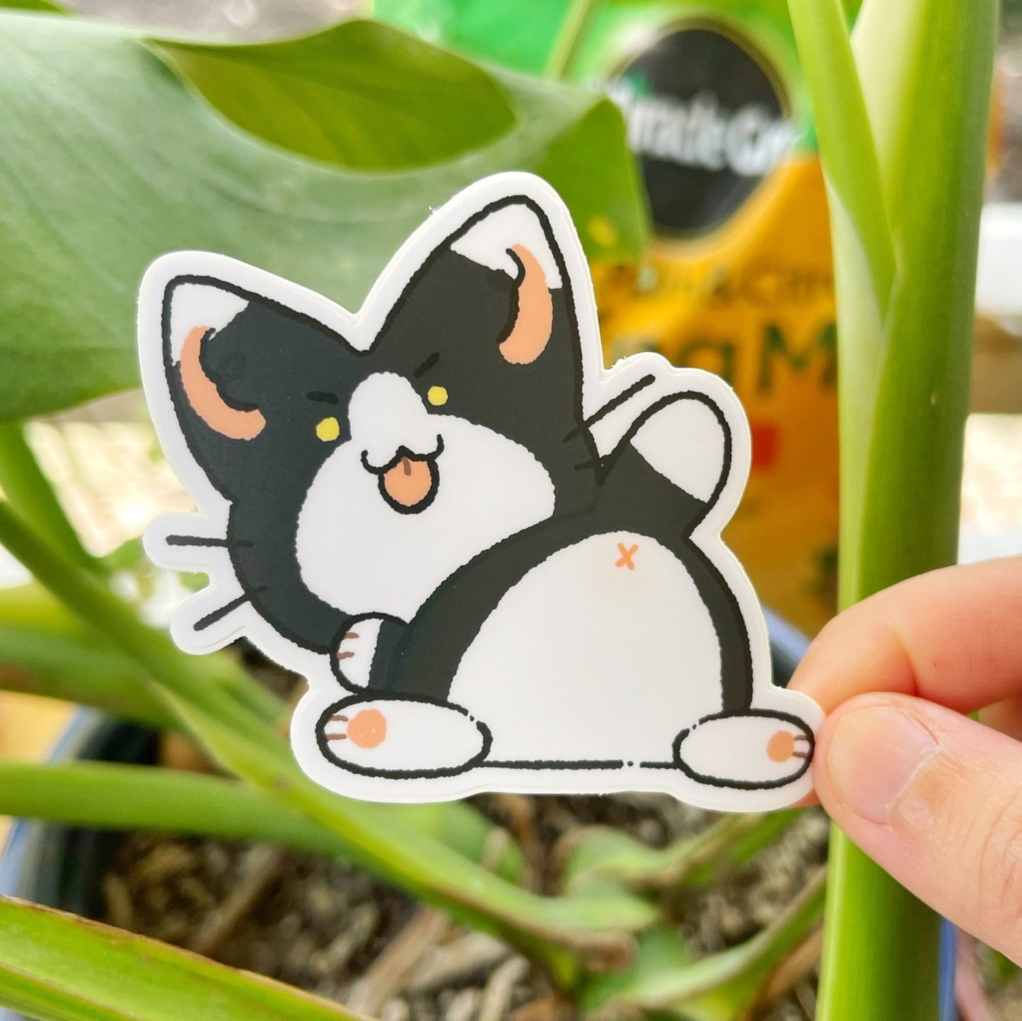 Kitty Butts Sticker